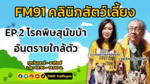 โรคพิษสุนัขบ้าอันตรายใกล้ตัว EP.2 : FM91 คลินิกสัตว์เลี้ยง : 13 กุมภาพันธ์ 2565