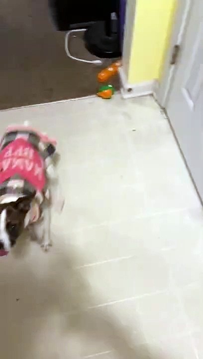 Princess gets a bouncy cube