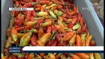 Harga Bumbu Dapur di Gianyar Naik