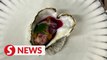 Frenchman farms heart-shaped oysters for Valentine's Day