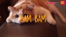 The Meow Vaganza Show : Aishah & Bam Bam