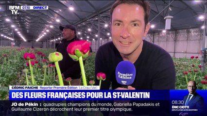 Et si on privilégiait les fleurs françaises et de saison pour la Saint-Valentin ?