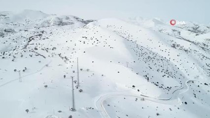 Soğuk havanın etkili olduğu Bayburt adeta buz kesti