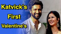 Vicky Kaushal and Katrina Kaif first Valentine's day celebration after marriage