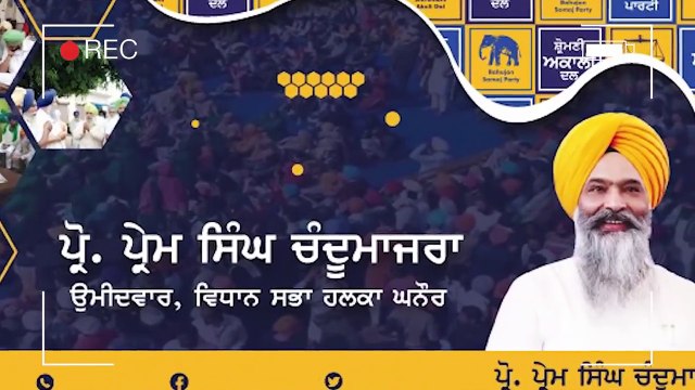 ਘਨੌਰ ਦਾ ਤਾਜ਼ਾ ਸਰਵੇ Latest Survey of Ghanaur | Who will win | Judge Singh Chahal | The Punjab TV