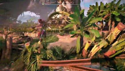 Videoanálisis Horizon Forbidden West