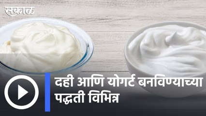 Curd । Yogurt | दही आणि योगर्ट बनविण्याच्या पद्धती विभिन्न | Sakal |