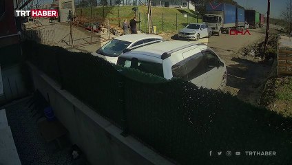 İstanbul'da tasmasız ve ağızlıksız pitbull bir başka köpeğe saldırdı