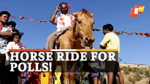 Odisha Panchayat Elections: Sans Road, Samiti Member Candidate Rides Horse For Campaigning