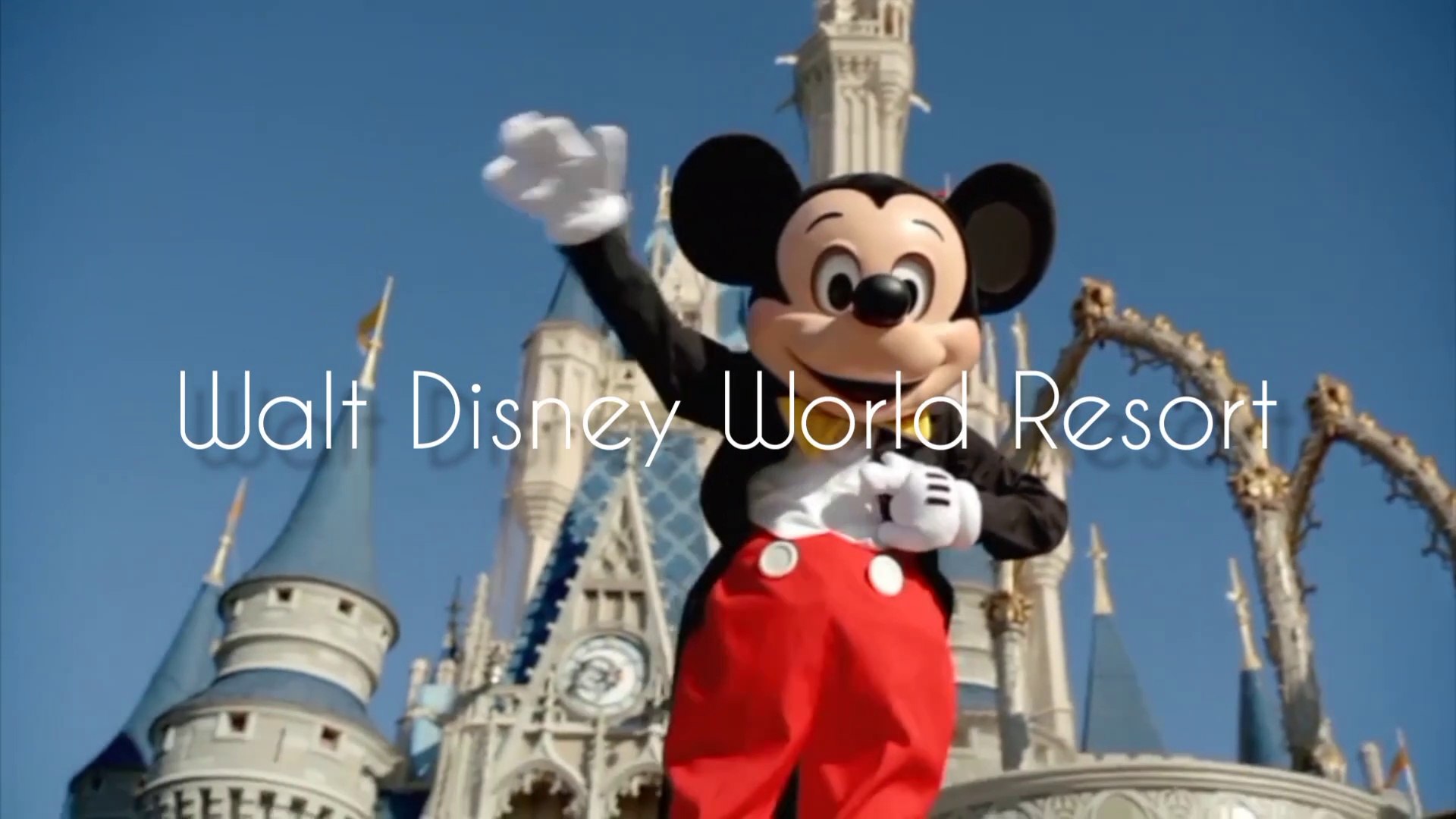 ⁣Walt Disney World Resort | Disney World Theme Parks | Disney Hotel Resorts | Disney Springs