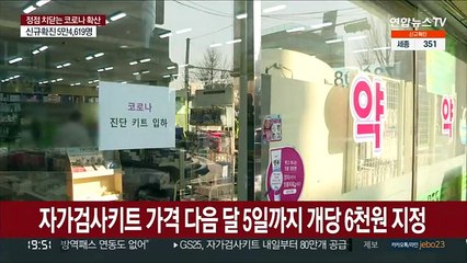 자가검사키트 가격 다음달 5일까지 개당 6천원 지정
