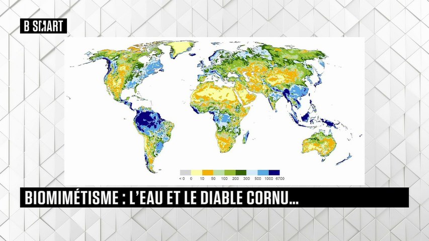 Biomimétisme : l'eau et le diable Cornu