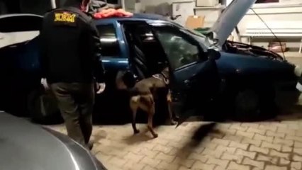 Son dakika haber! Uyuşturucuyla yakalanan 3 zanlı gözaltına alındı