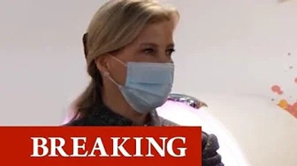 'All you need is love' Queen hails Sophie Wessex for 'very special' Valentine's Day moment