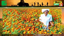 अब  महिला किसानों को भी माइक्रो इरिगेशन संयंत्रों पर मिलेगी 75 फीसदी ग्रांट, राजस्थान सरकार ने बढ़ाई अनुदान राशि In Kisan Bulletin On GreenTV