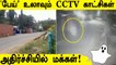 CCTV Camera-வில் பதிவான மர்ம உருவம்! பேய் பீதியில் மக்கள் | Oneindia Tamil