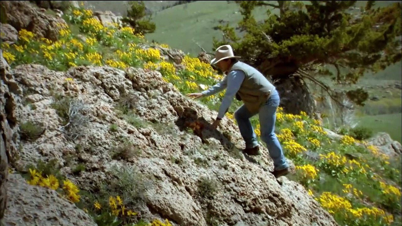 PBS Nature - Touching the Wild (2014)
