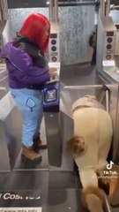 Elle se retrouve coincé en essayant de ne pas payer son ticket de métro