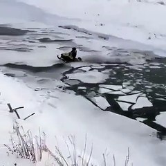 Franchement il y était presque...