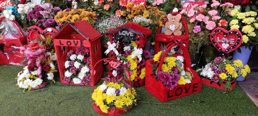 أسباب ارتفاع حالات الطلاق في مصر.. الحب مش نظرة وابتسامة