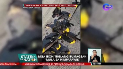 Mga ibon sa Mexico, biglang bumagsak mula sa himpapawid | SONA