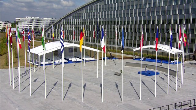 Alemania asegura que actualmente no hay planes para admitir a Ucrania en la OTAN