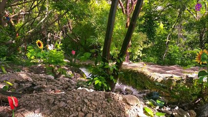 intro-logo-newaudio-15-min-20220115-192057