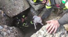 Crotone - Cagnolino cade tra gli scogli al porto: salvato dai Vigili del Fuoco (14.02.22)