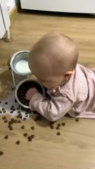 Baby Finds Cat's Food Bowl. Cat Does Not Approve.