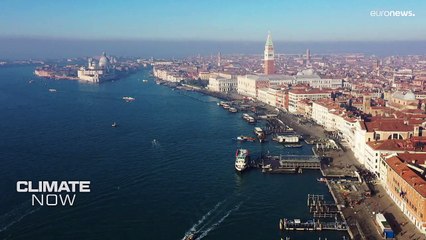 La inestimable ayuda de las marismas en la lucha contra el cambio climático