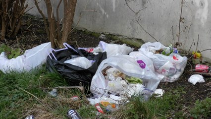 Chatham residents' anger as they're made to wait for heaps of rubbish to be cleared