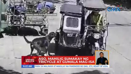 Aso, mahilig sumakay ng tricycle at gumala mag-isa | UB