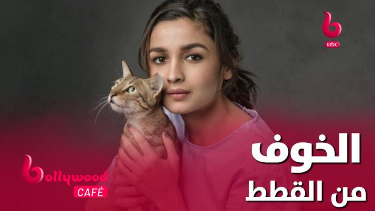 الحلقة 64 | بوليوود كافيه..نجمات تخافن من القطط.. تعرفوا عليهن