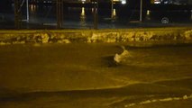 Nusaybin'de içme suyu ana hattı patladı