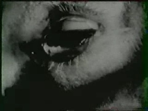 Berurier noir-porcherie clip inedit [keuponteam]