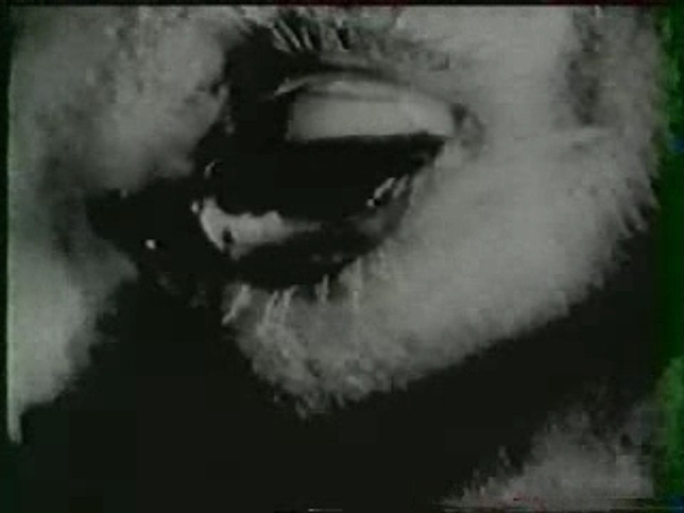 Berurier noir-porcherie clip inedit [keuponteam]