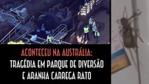 Aconteceu na Australia - Tragédia em parque de diversão e aranha carrega rato - EMVB 2016