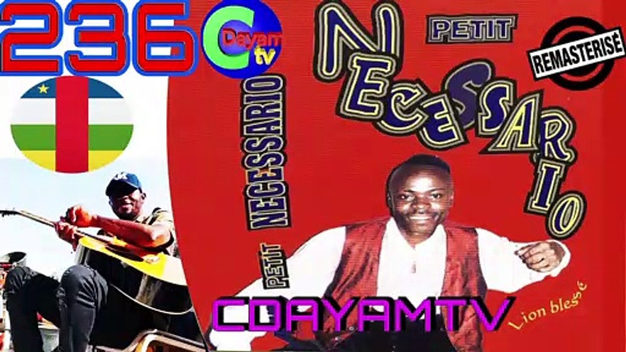 lion blesse petit necessario