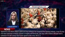 Bird flu detected in Kentucky, Virginia, Indiana as outbreak widens - 1breakingnews.com