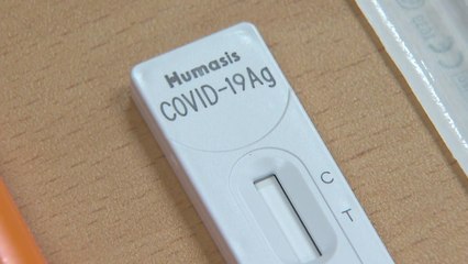[뉴스라이브] 자가키트 낱개 '6천 원'...유치원·초등생도 주2회 자가검사 후 등교? / YTN
