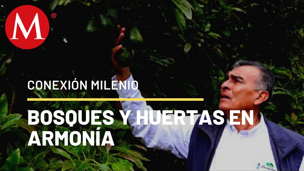 Bosques y huertas en armonía | Conexión Milenio