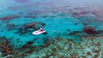 Citizen scientists join project to monitor health of Great Barrier Reef