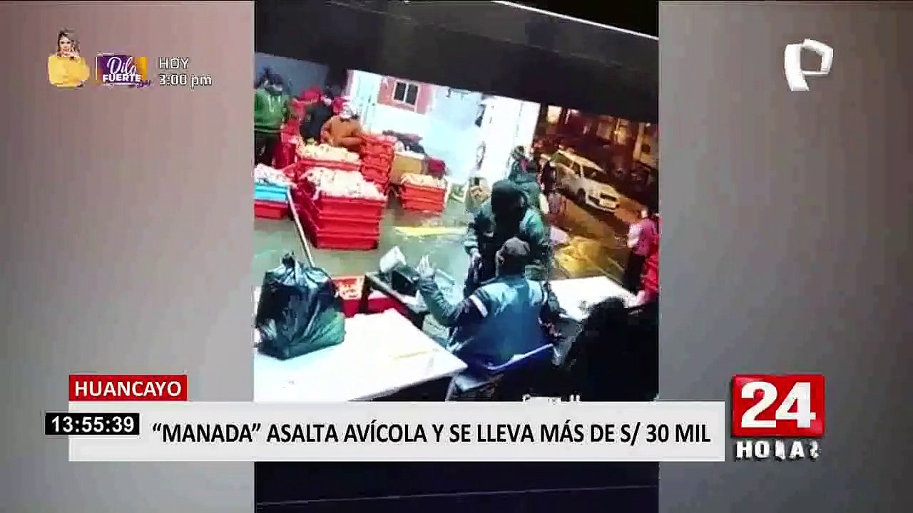 Huancayo: delincuentes ingresan a avícola y se llevan más de 30 mil soles