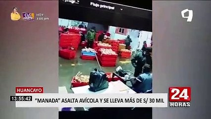 Huancayo: delincuentes ingresan a avícola y se llevan más de 30 mil soles