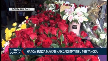 Mawar Valentine Laris Manis