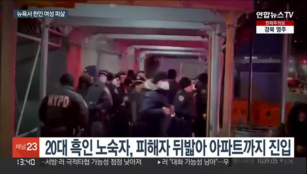 뉴욕서 30대 한국인 여성 피살…흑인 노숙자 소행