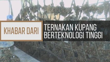 Khabar Dari Johor: Ternakan kupang berteknologi tinggi