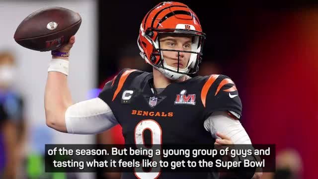 Bengals have the basis for a Super Bowl return - Garcon