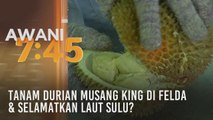 Tumpuan AWANI 7.45: Tanam durian musang king di Felda & selamatkan laut Sulu?