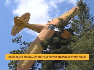 Juruterbang terselamat selepas pesawat tersangkut pada pokok